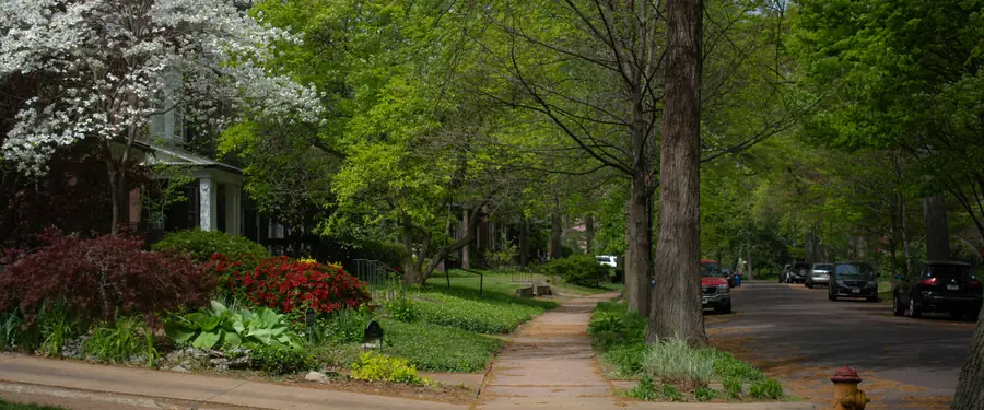 A tree-lined residential street in spring, its sidewalk running past gardens and parked cars.
